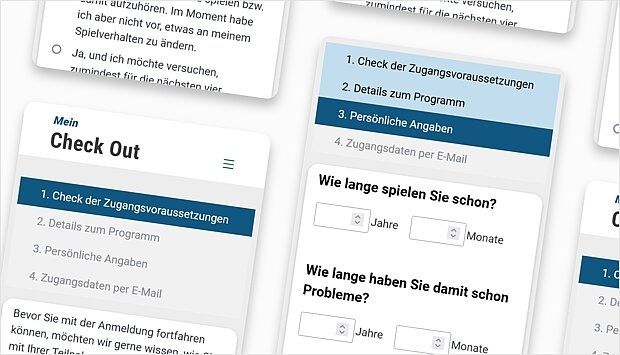 Screenshot zum Programm-Schritt: Anmeldung